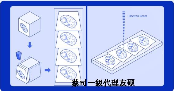 河西蔡司河西扫描电镜