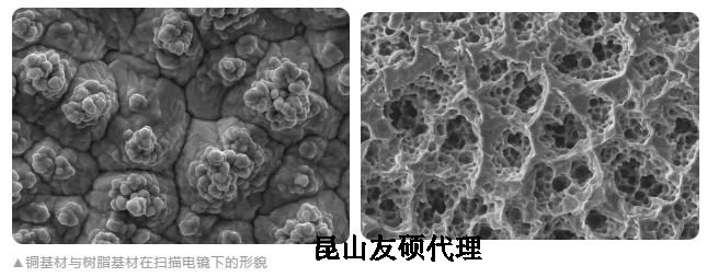 河西蔡司河西扫描电镜