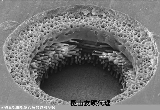 河西蔡司河西扫描电镜